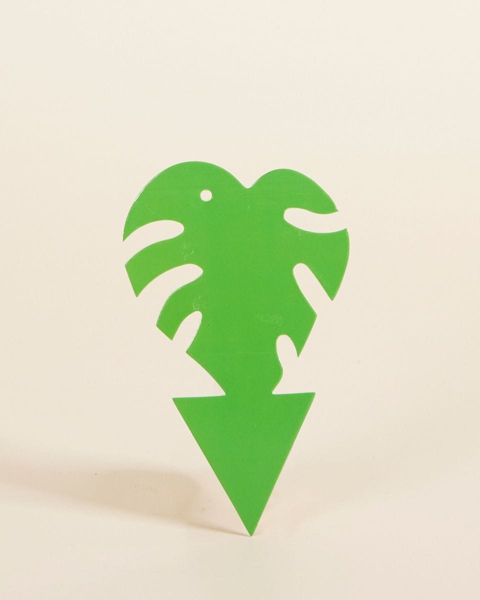 Sticky Leaf Moucherolles Pleureurs Vert 5 pieces