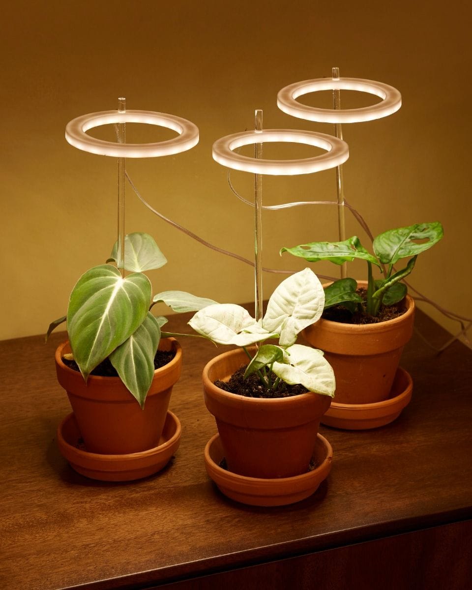 Grow Light Rings