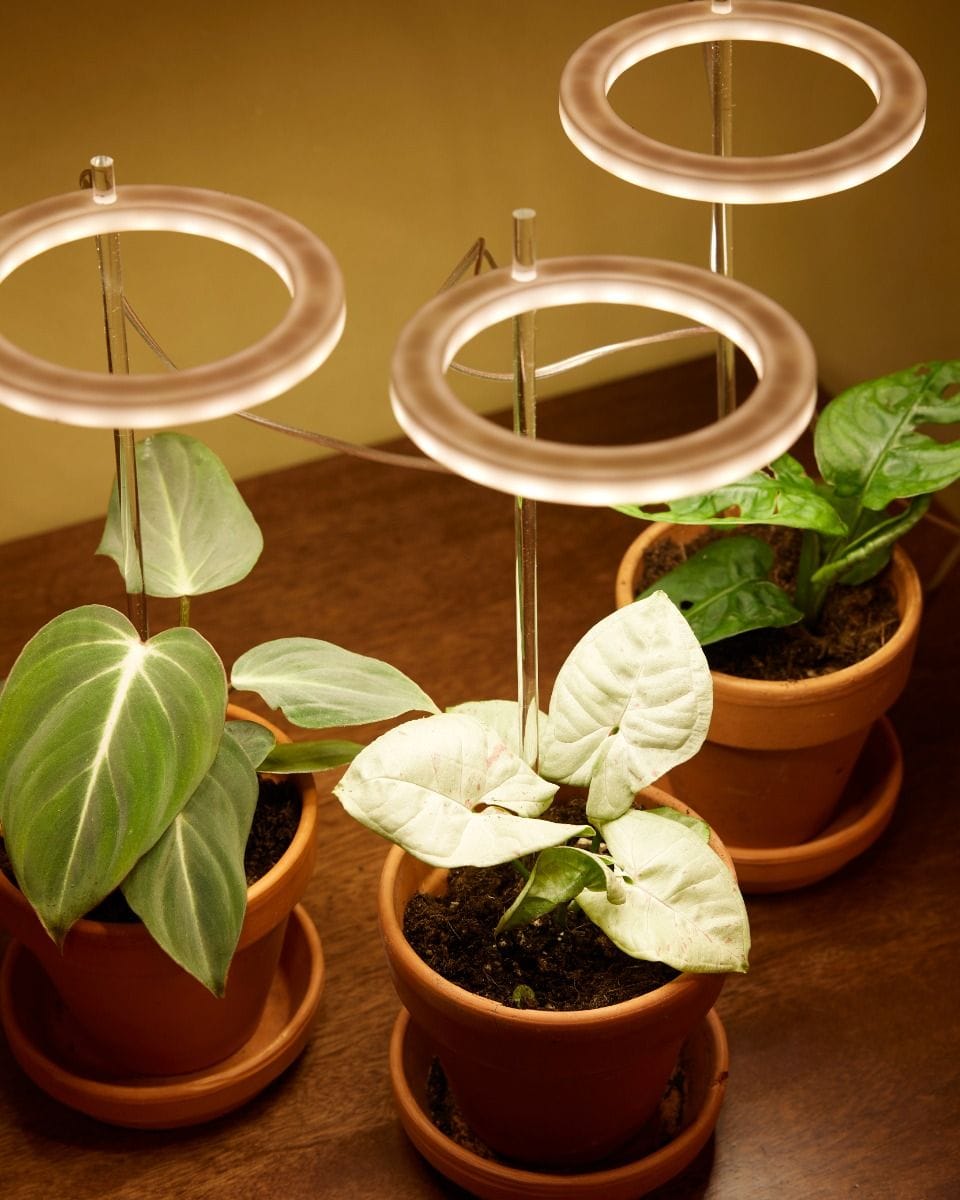 Grow Light Rings 3 pieces