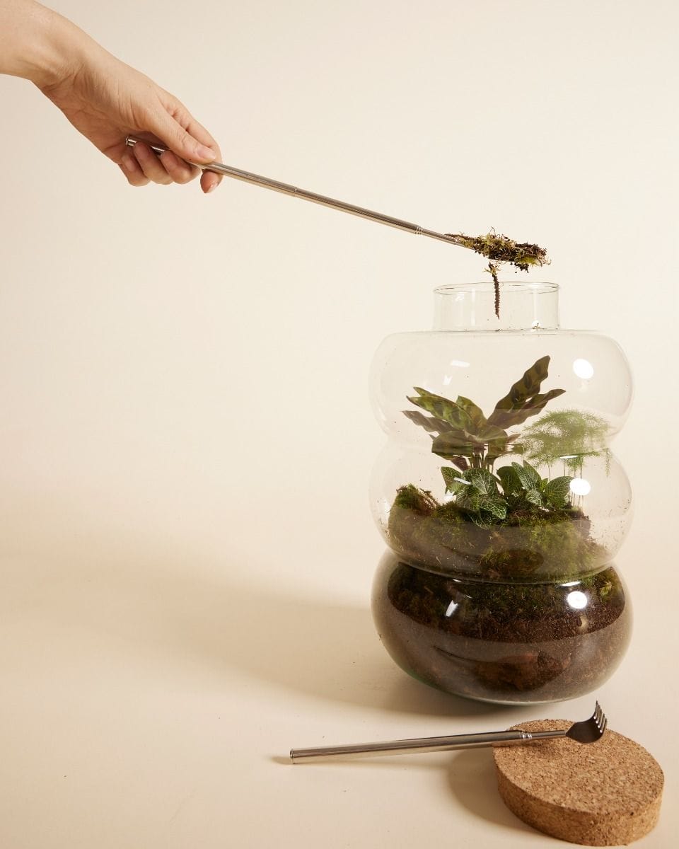 Toby Terrarium Tool Kit