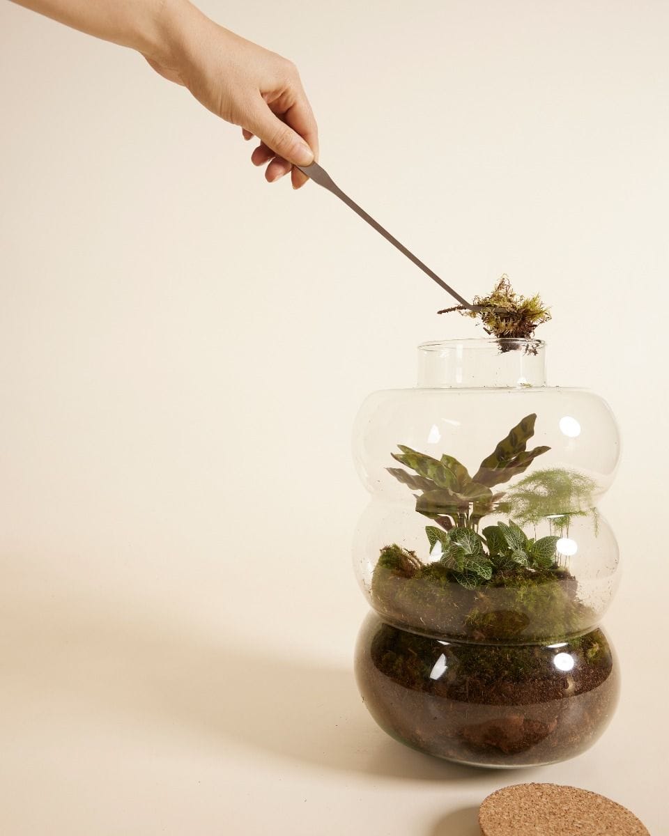 Toby Terrarium tweezers