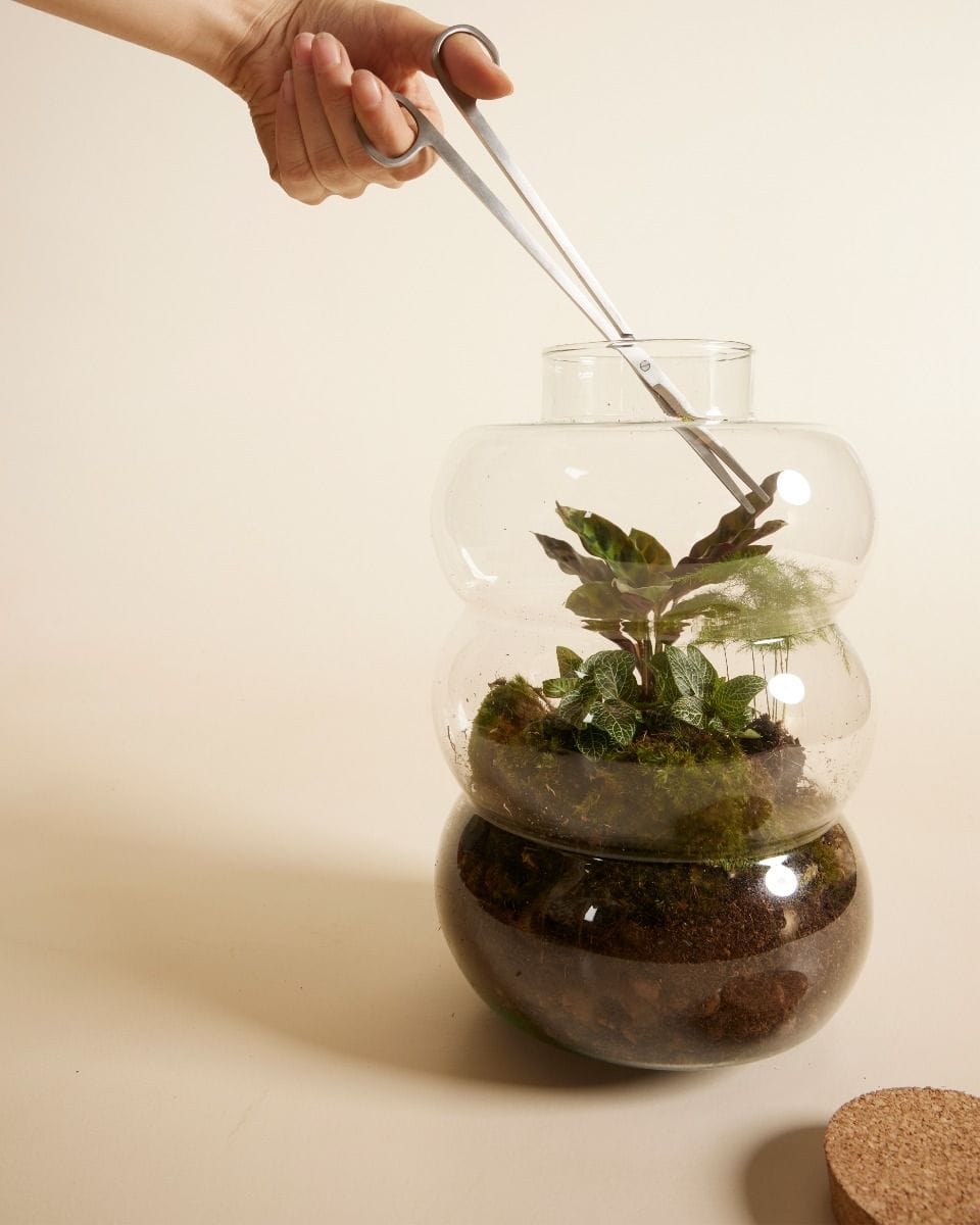 Toby Terrarium schaar