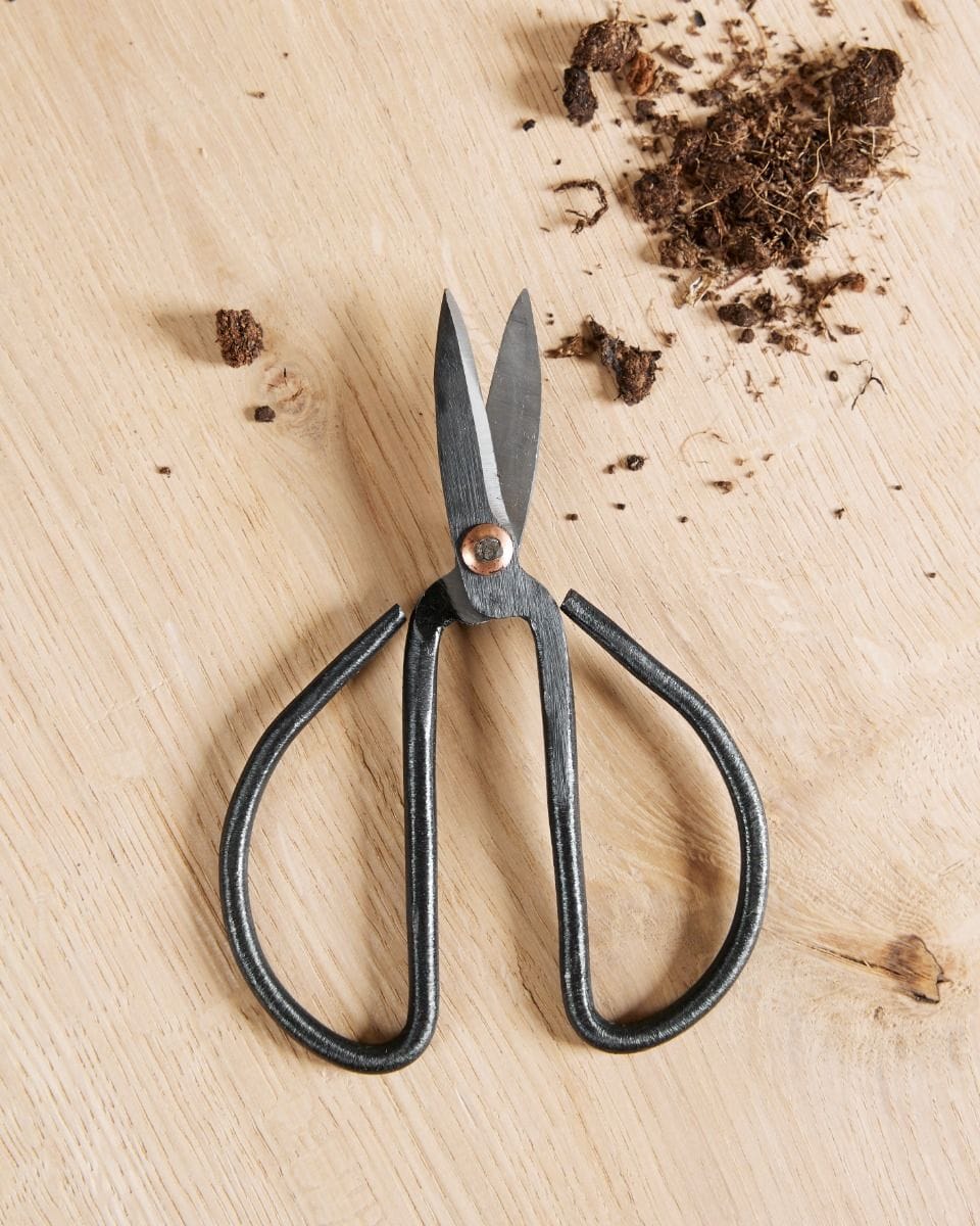Susan Pruning Scissors Carbon steel