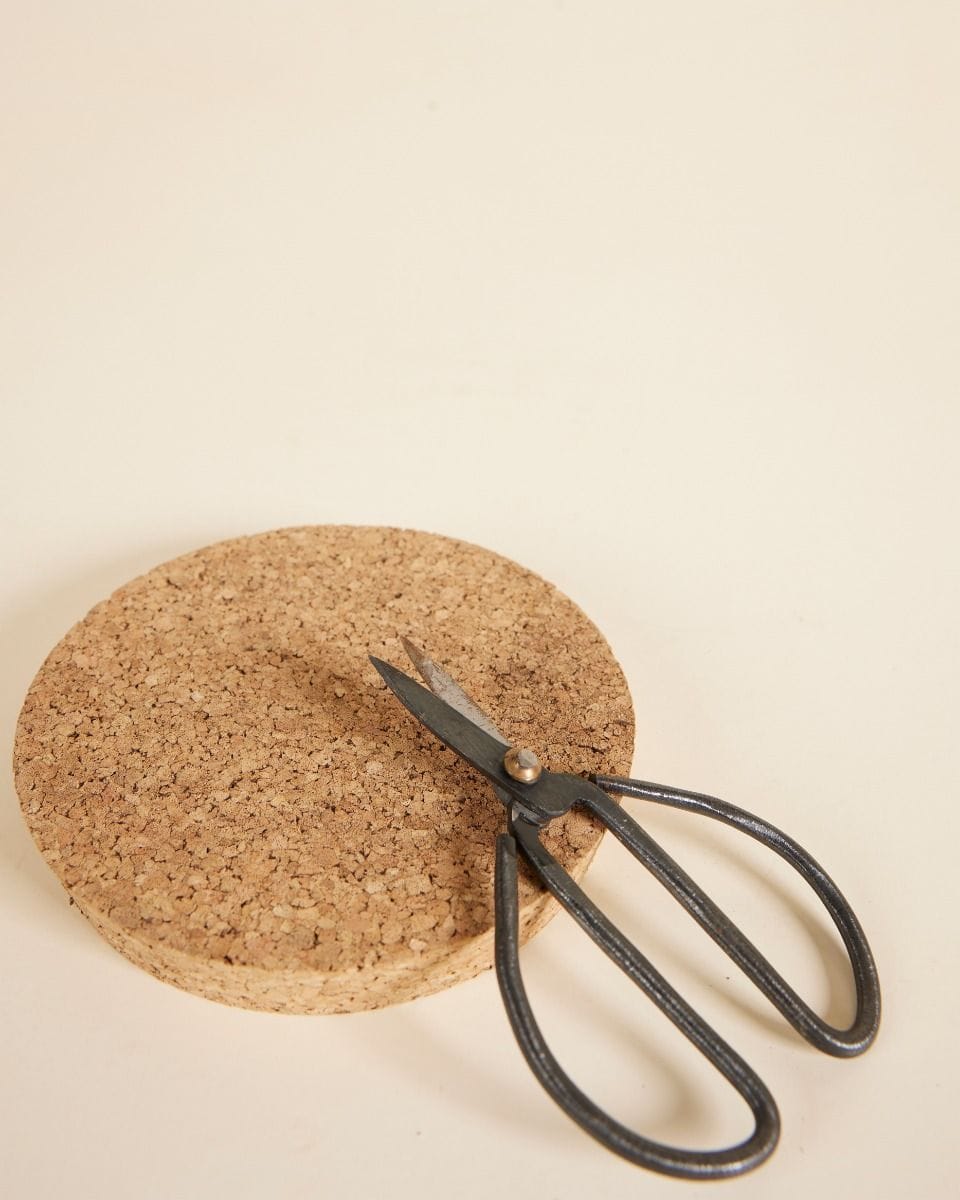 Susan Pruning Scissors Carbon steel