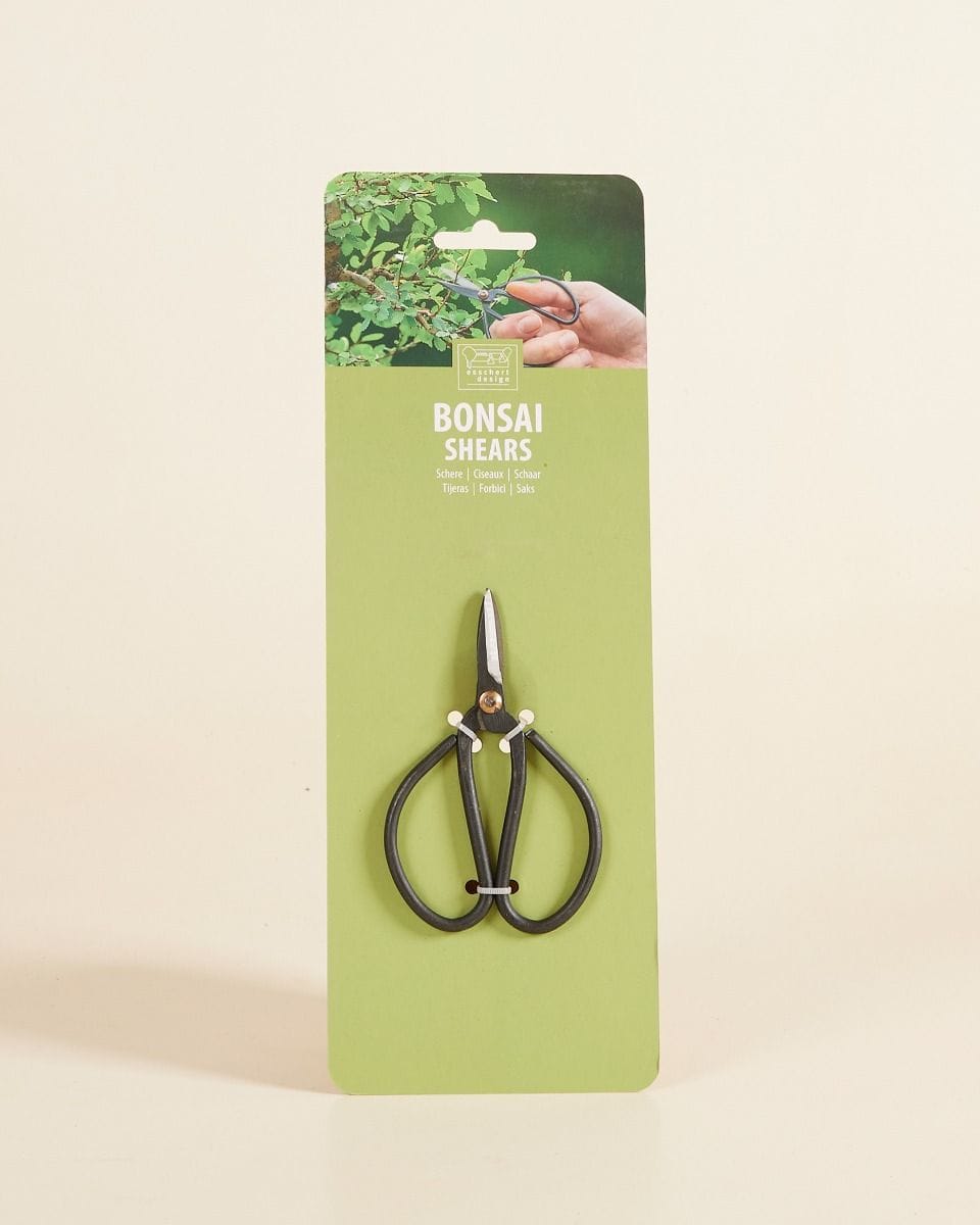 Susan Pruning Scissors Carbon steel