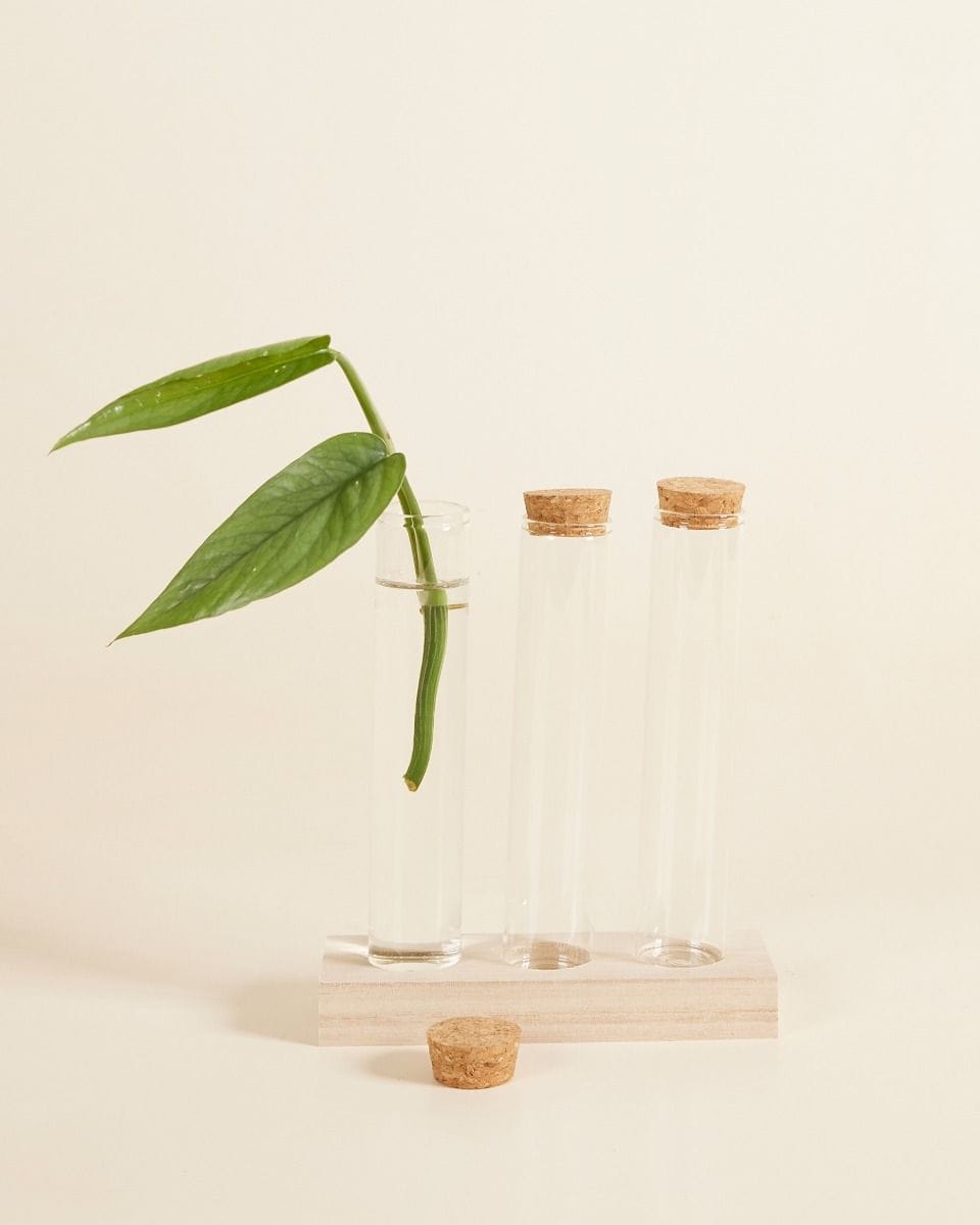Julia Propagation Set 3 tubes