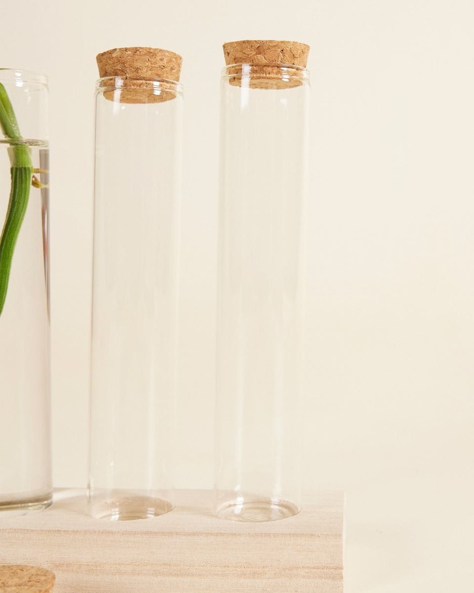 Julia Propagation Set 3 tubes