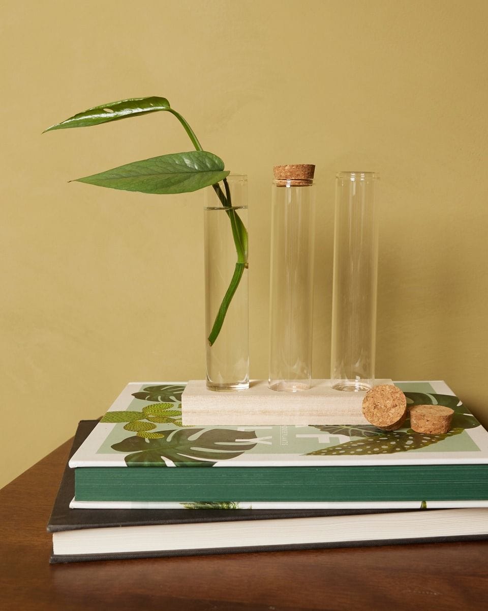 Julia Propagation Set 3 tubes