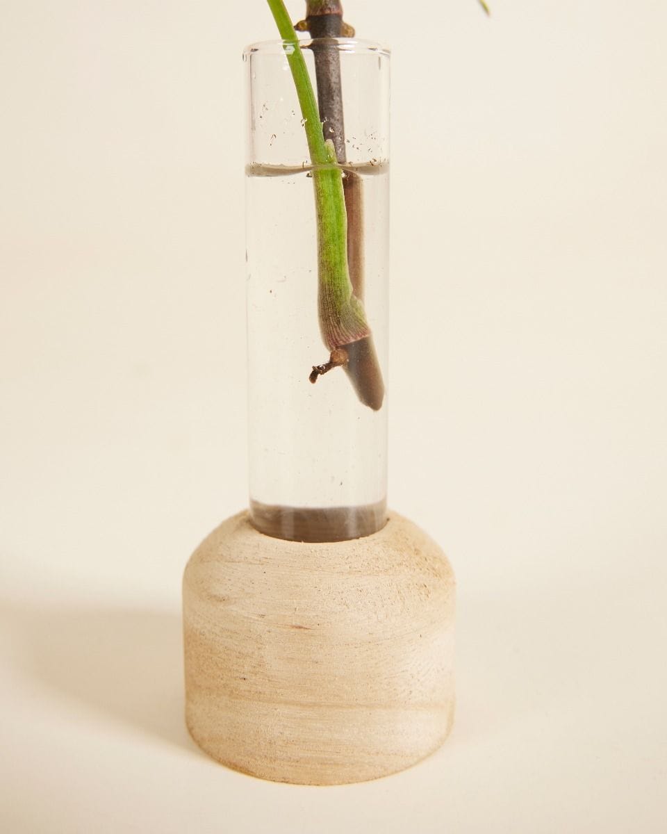 Propagation Tube Wooden Base