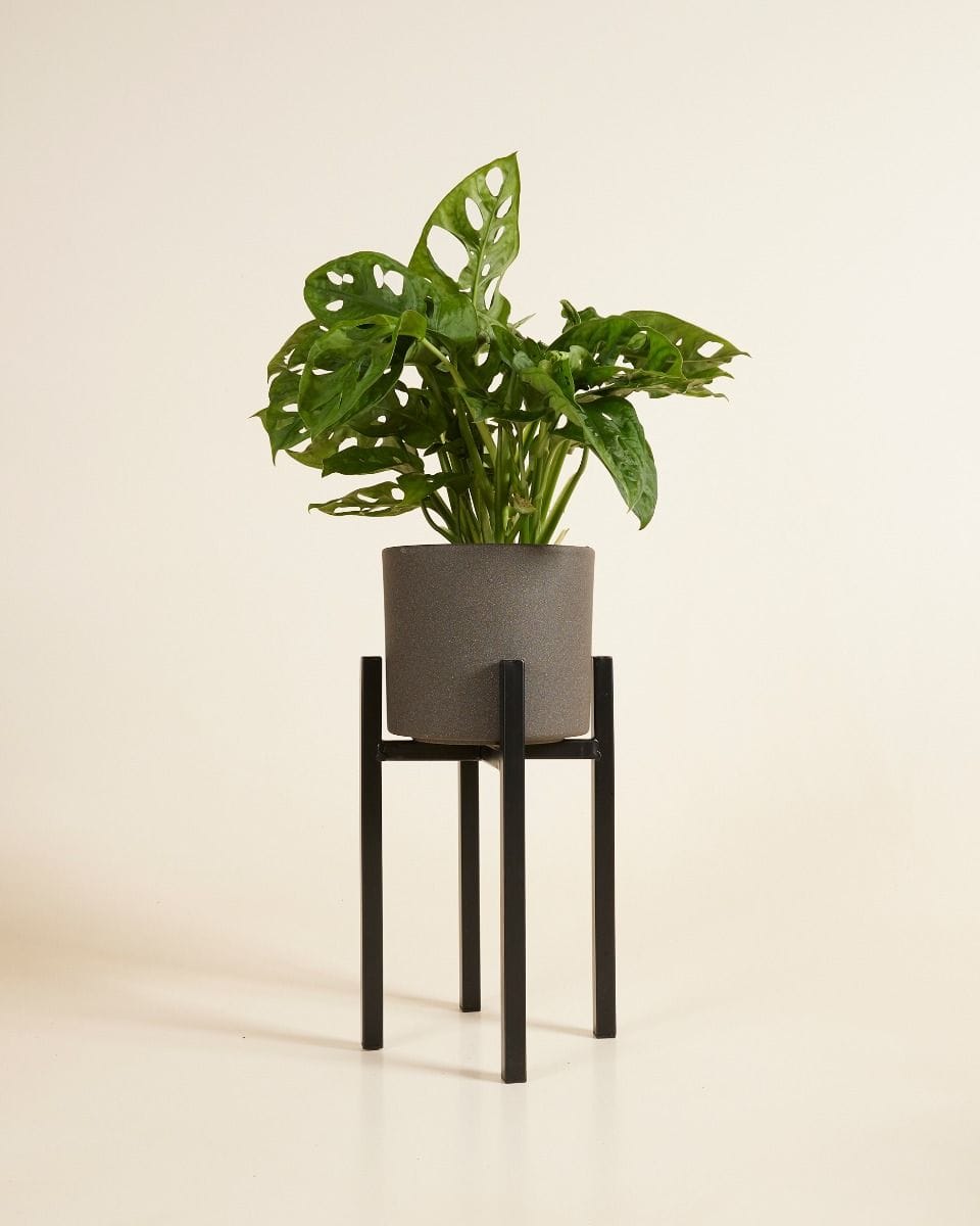 Paula Potstandaard Zwart 25 cm