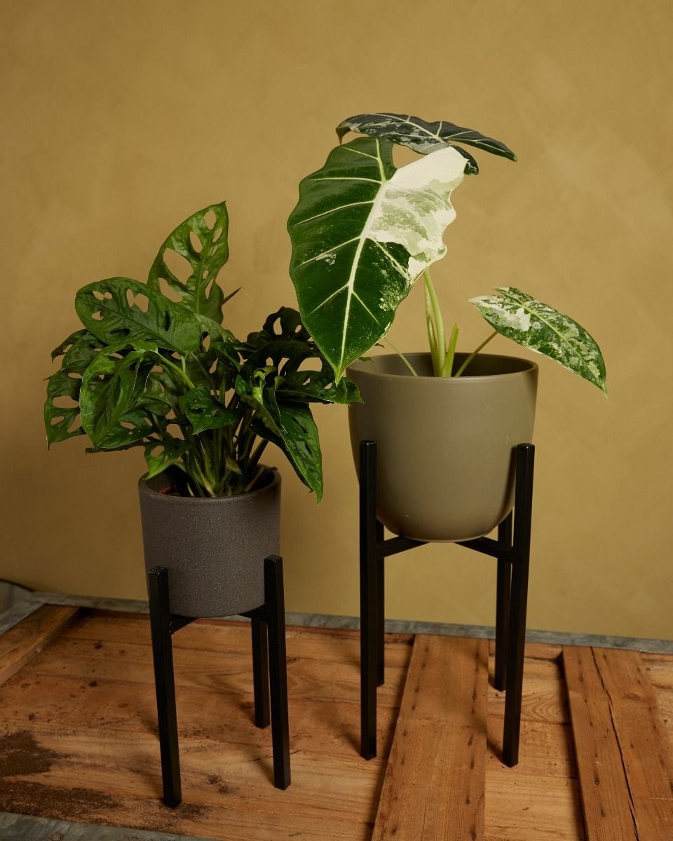 Paula Potstandaard Zwart 25 cm