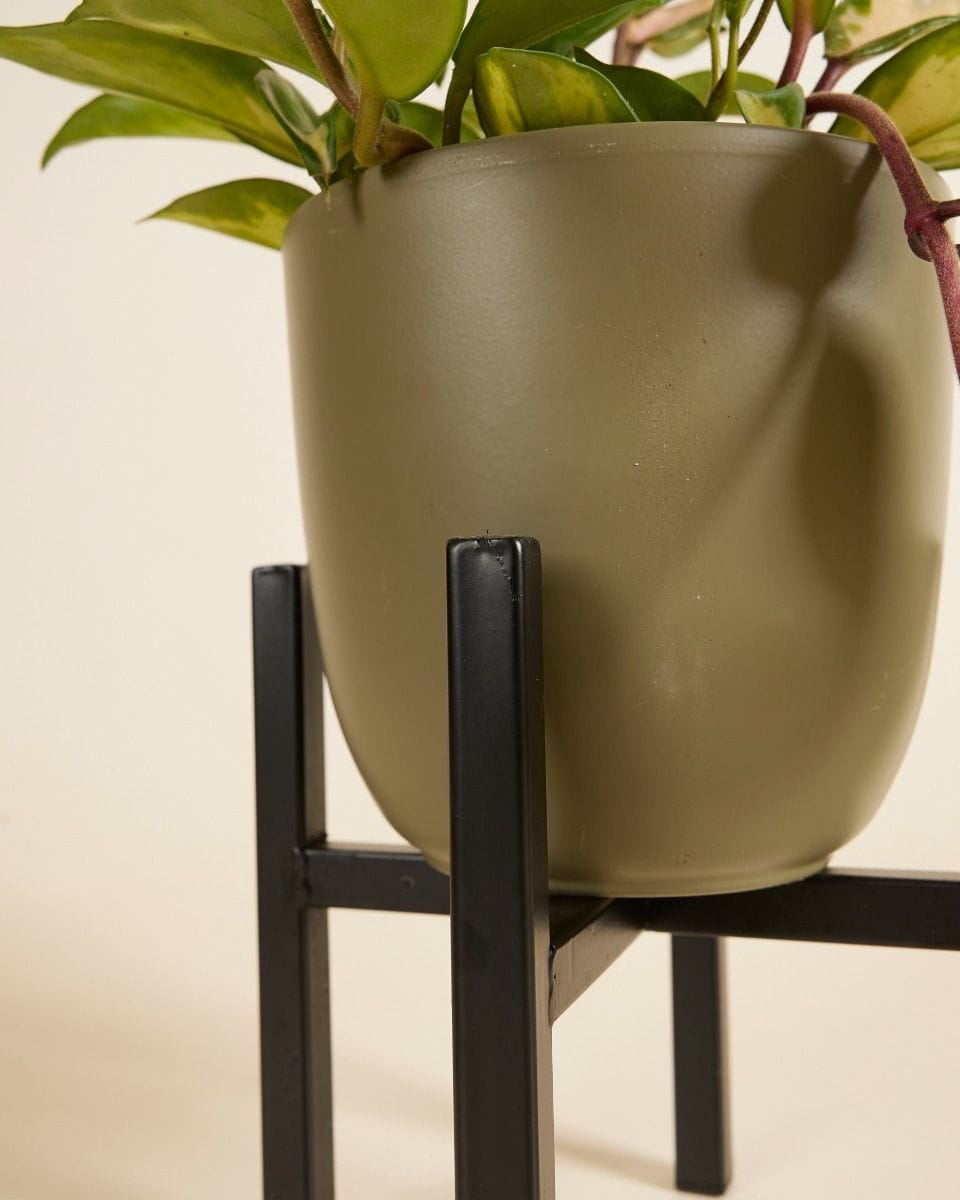 Paula Pot Stand Black 16 cm