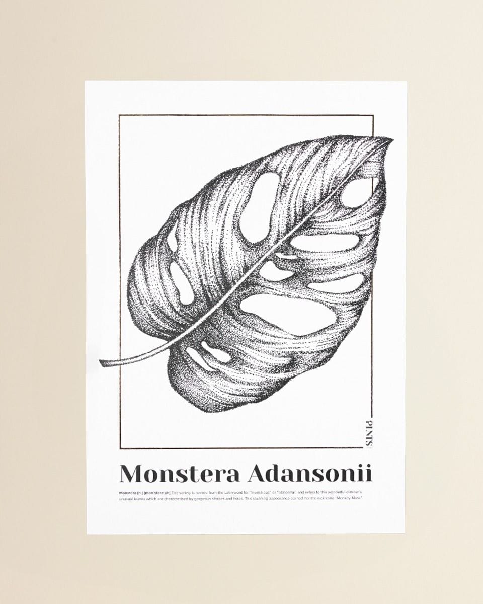 Monstera Adansonii Poster 350g premium A3 paper