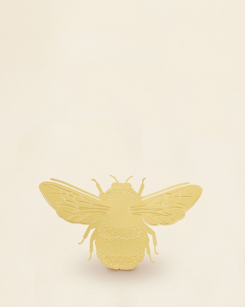 Bowie Bumblebee Plant buddy