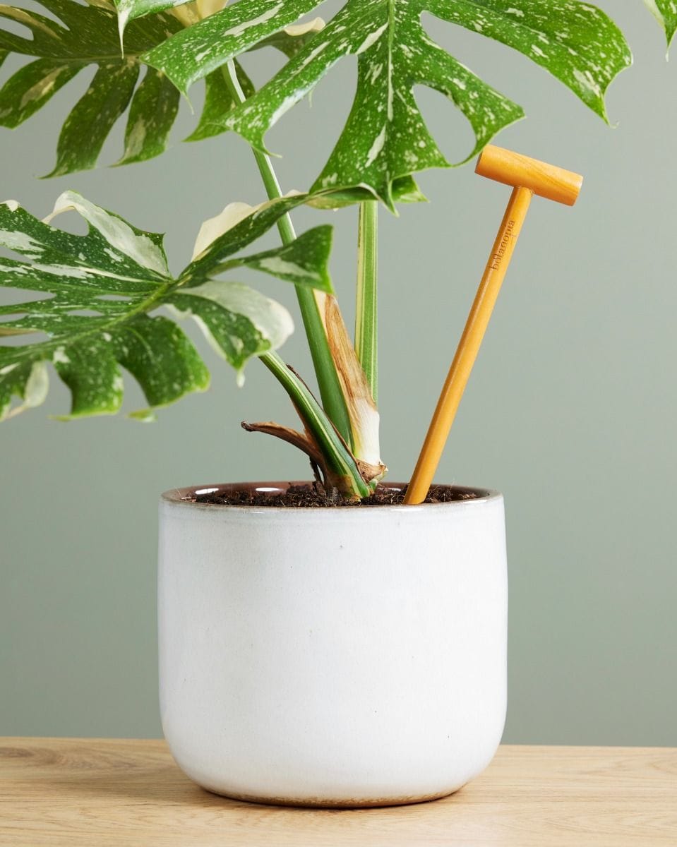 Soil Checker 31 cm