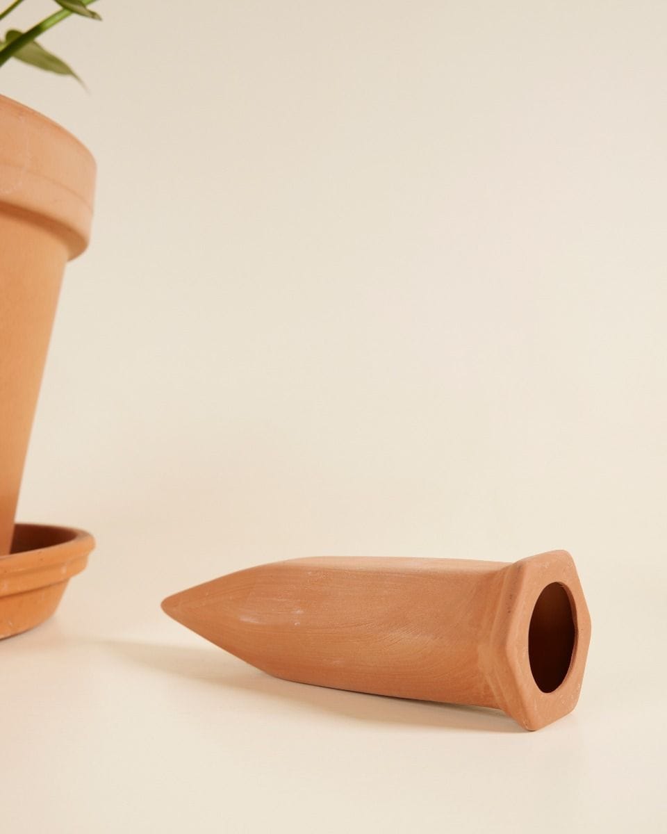 Watering Spike Terracotta Plant irrigator