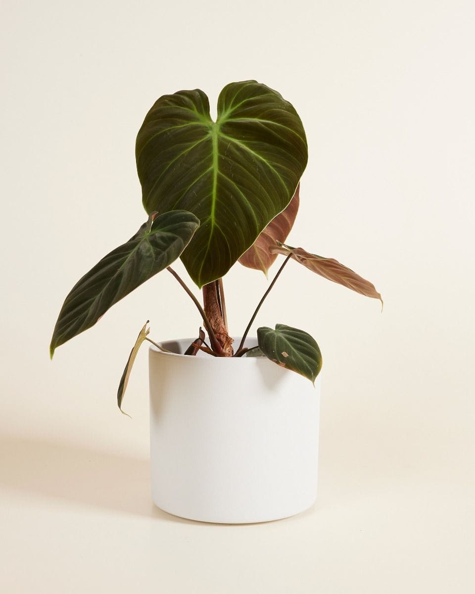 Penny Pot Light Grey Ø 17 cm