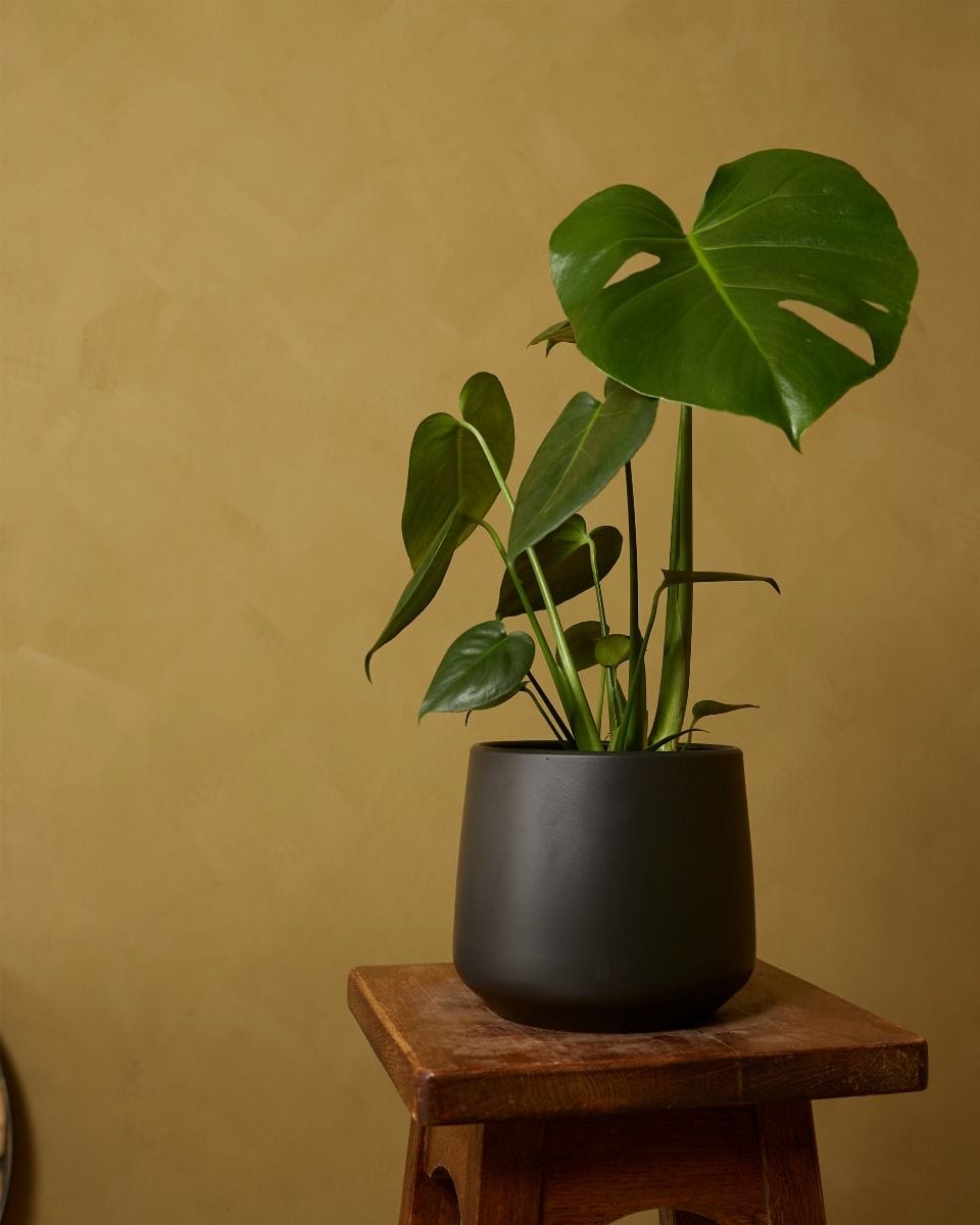 Amber Pot Black Ø 17 cm
