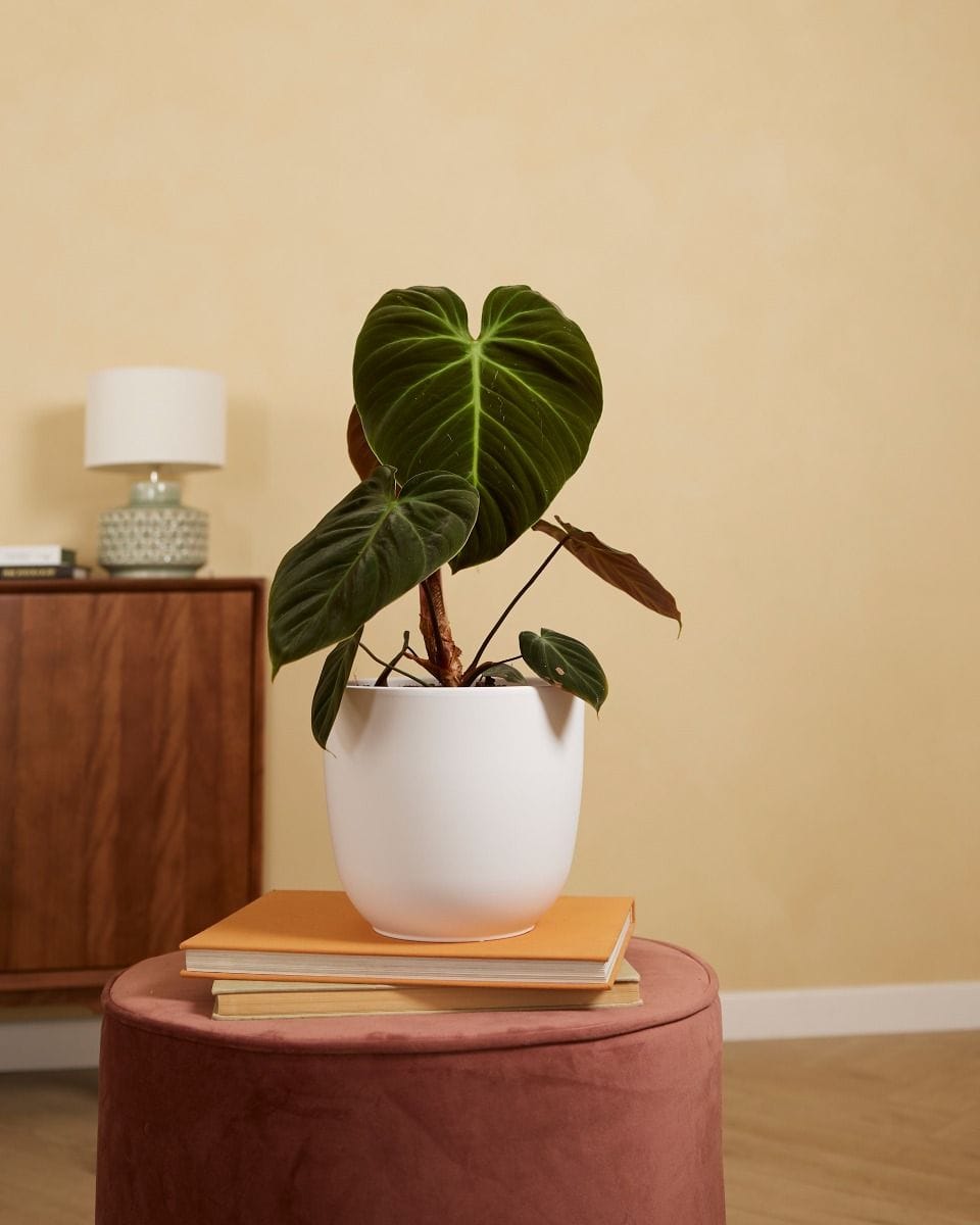 Lexi Pot White Ø 18.5 cm