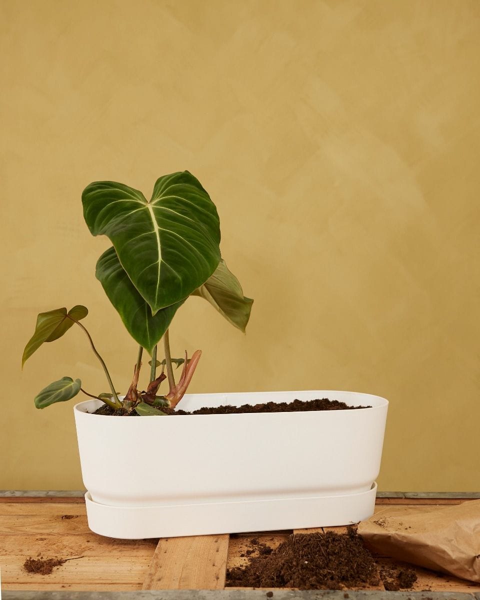 Elho Miles Oval Pot White 50 cm