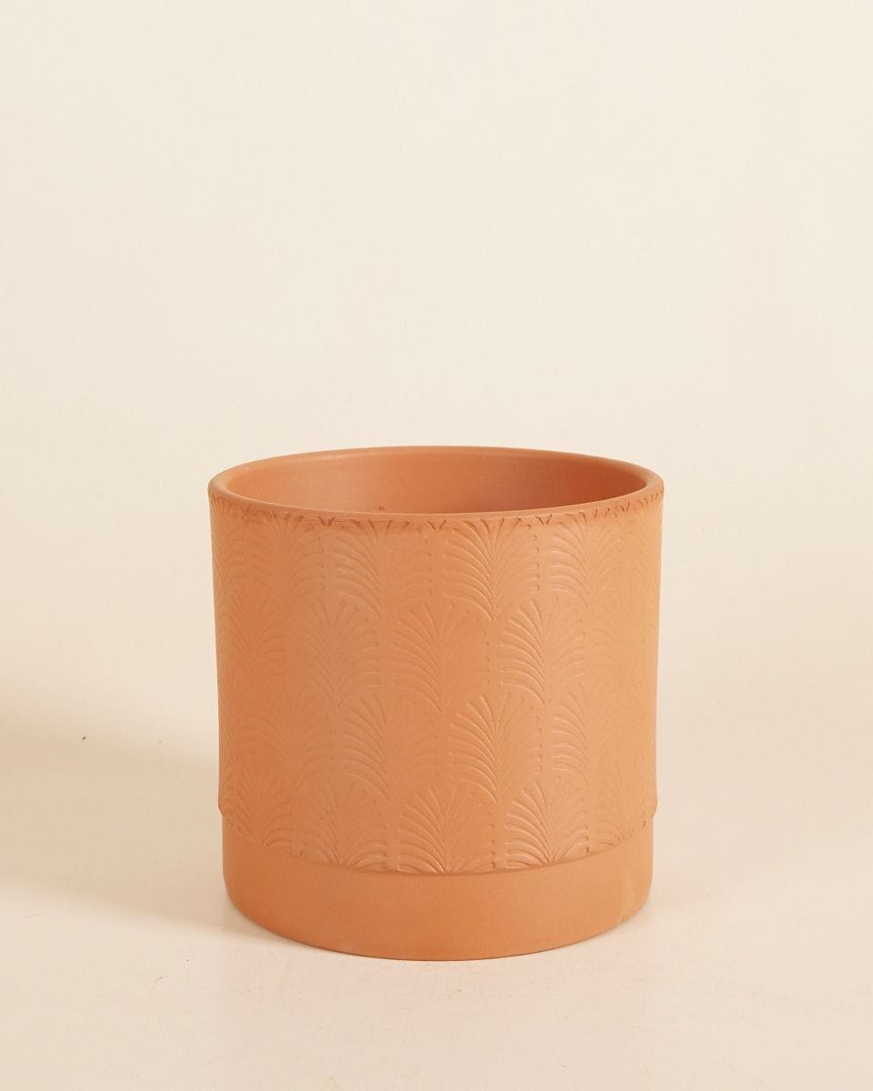 Koby Pot Terra Palm Ø 15 cm