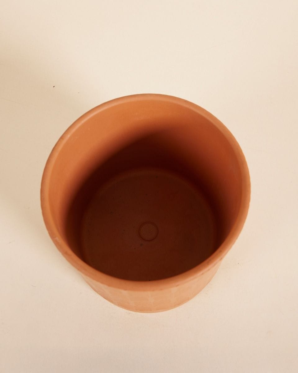 Koby Pot Terra Palm Ø 15 cm