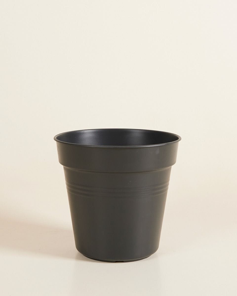 Elho Hagrid Nursery Planter Black Ø 17 cm