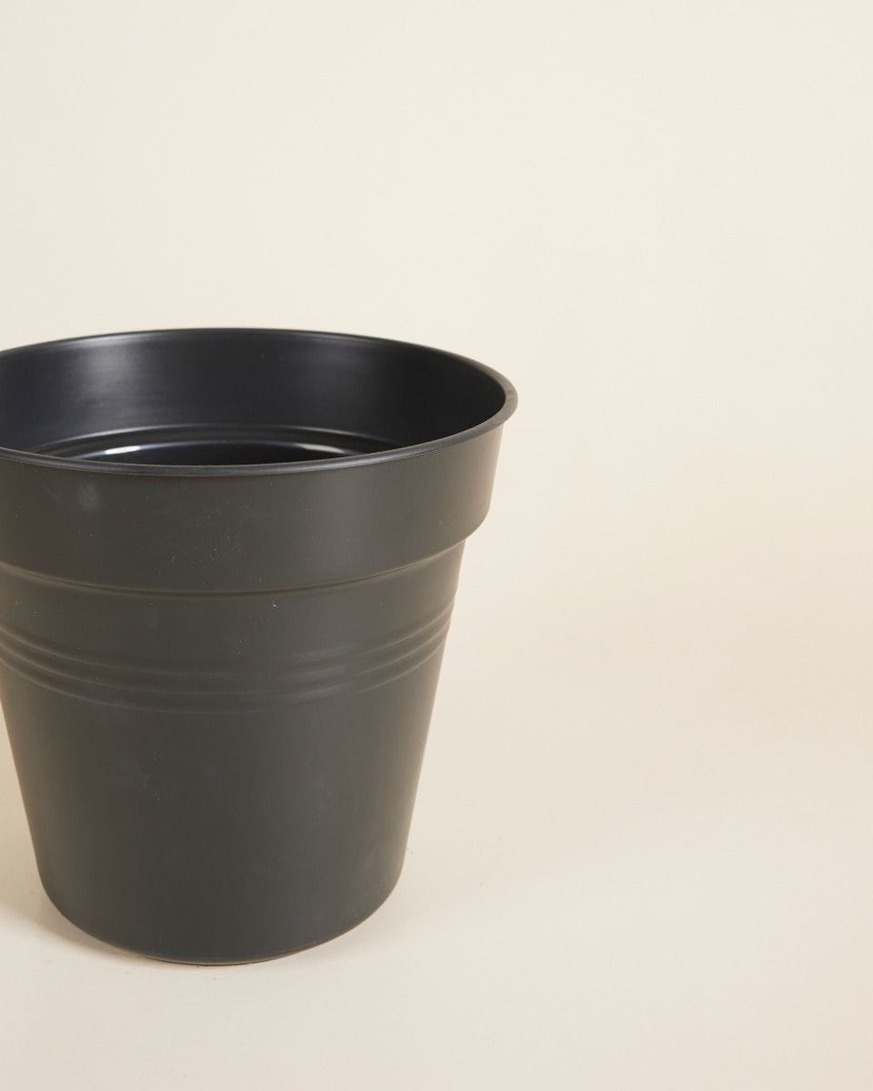 Elho Hagrid Nursery Planter Black Ø 17 cm