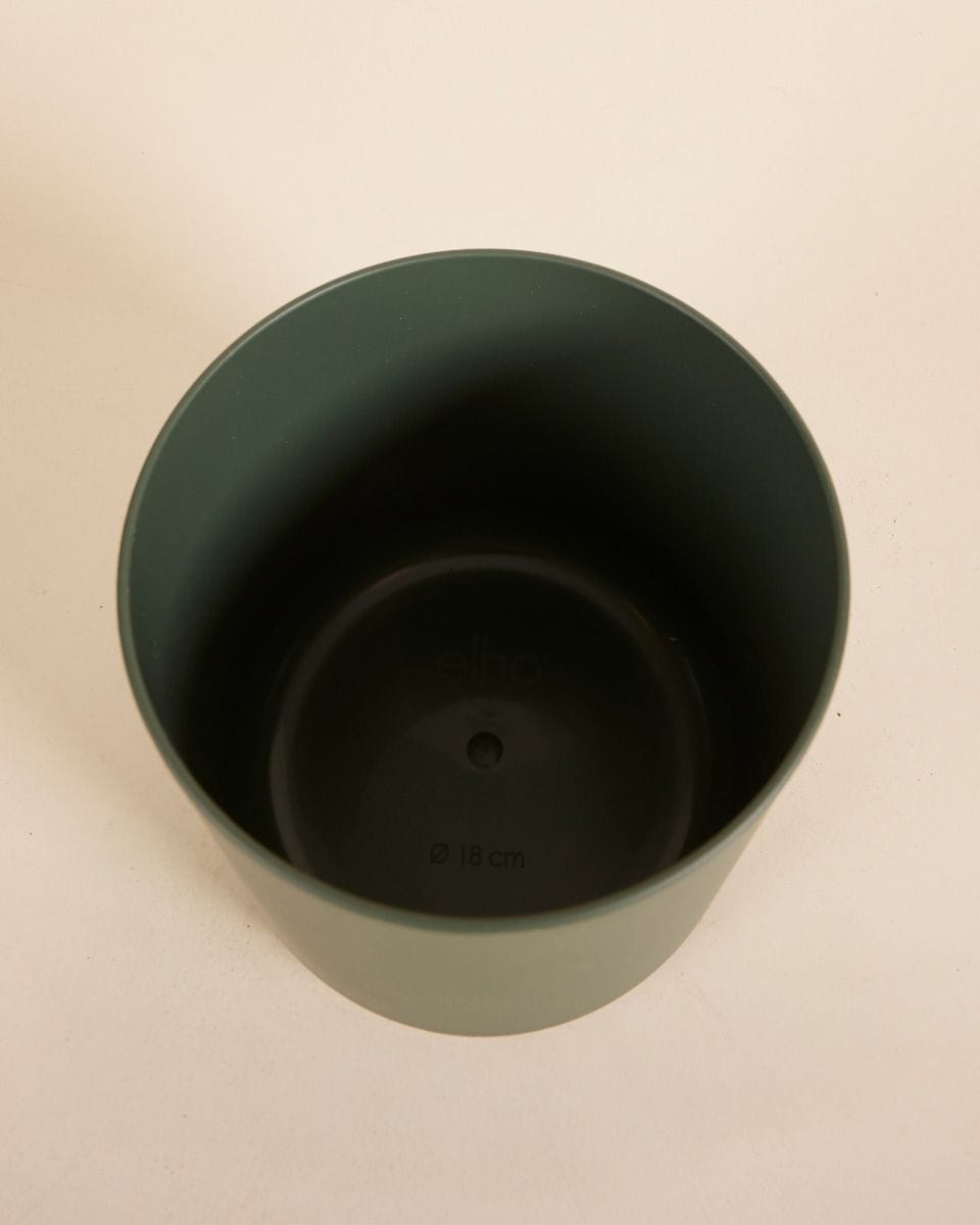 Nora Pot Green Ø 18 cm