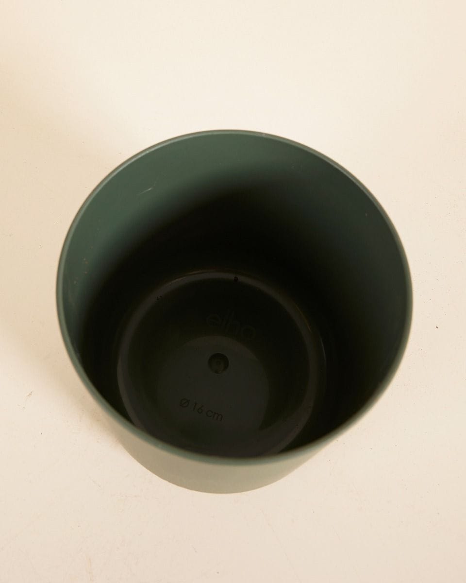 Nora Pot Green Ø 16 cm