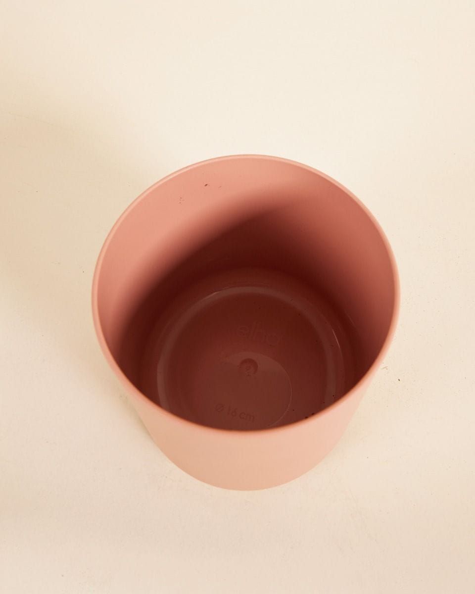 Nora Pot Roze Ø 16 cm