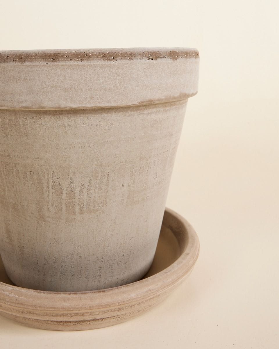 Grijze Terracotta Pot Ø 22 cm