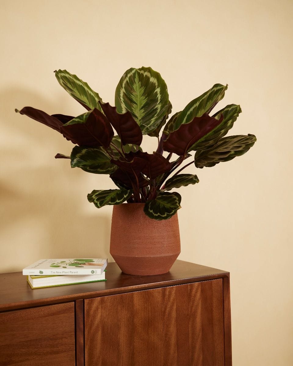 Hubert Pot Terra Ø 19 cm