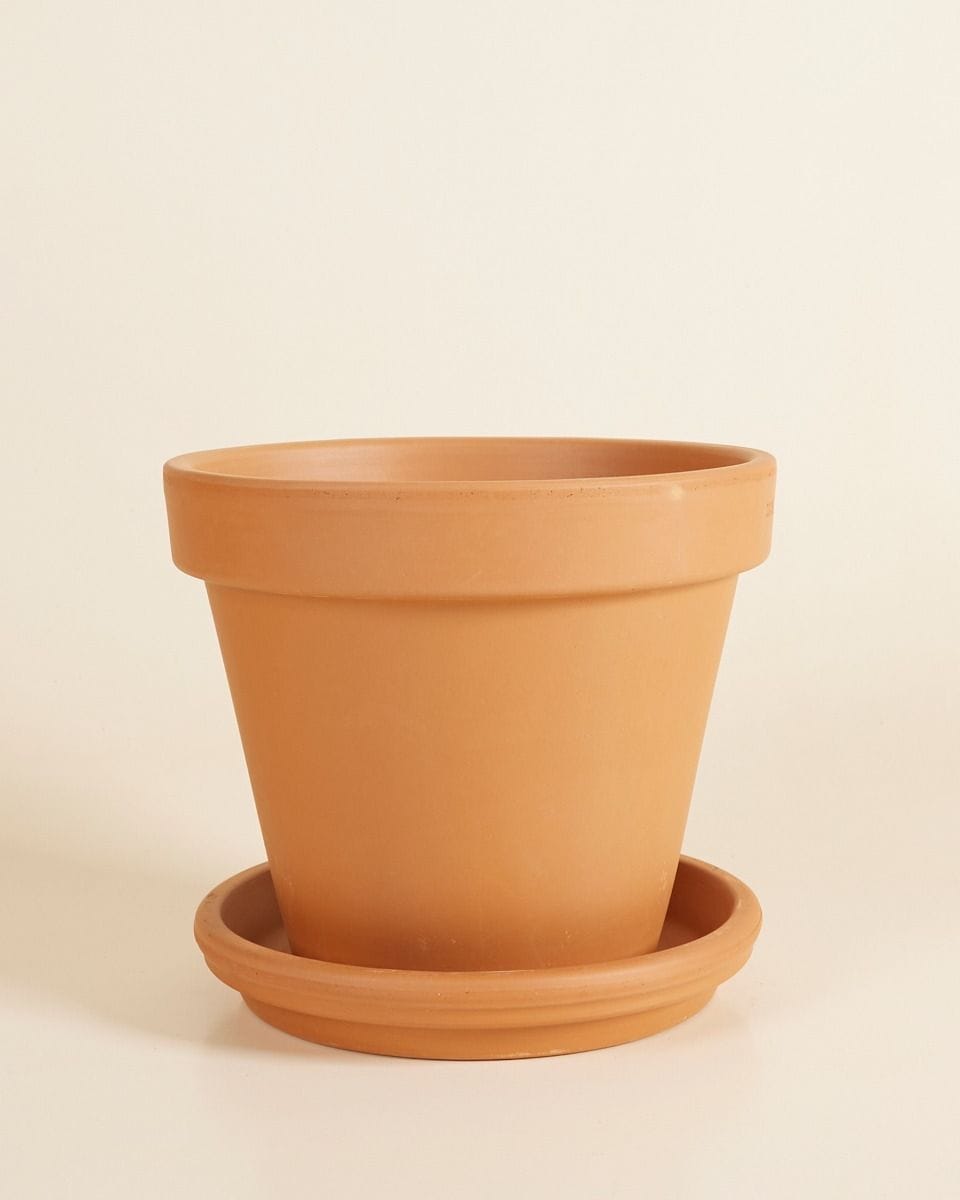 Orange Terracotta Pot Ø 20 cm