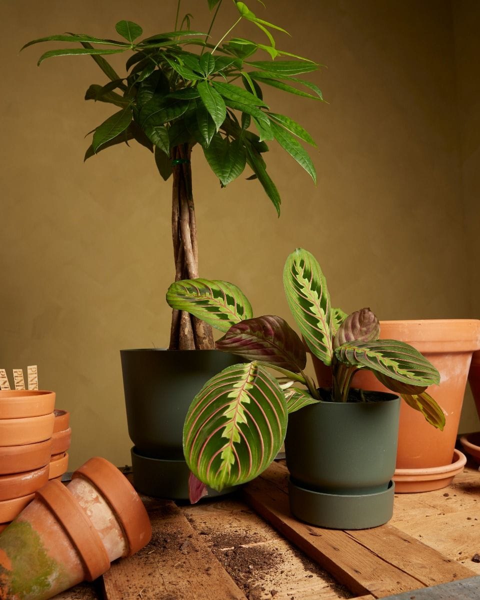 Elho Miles Round Pot Green Ø 13 cm