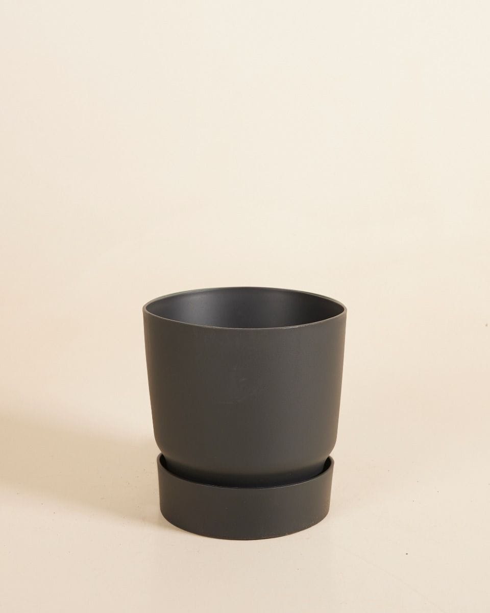Elho Miles Round Pot Black Ø 13 cm