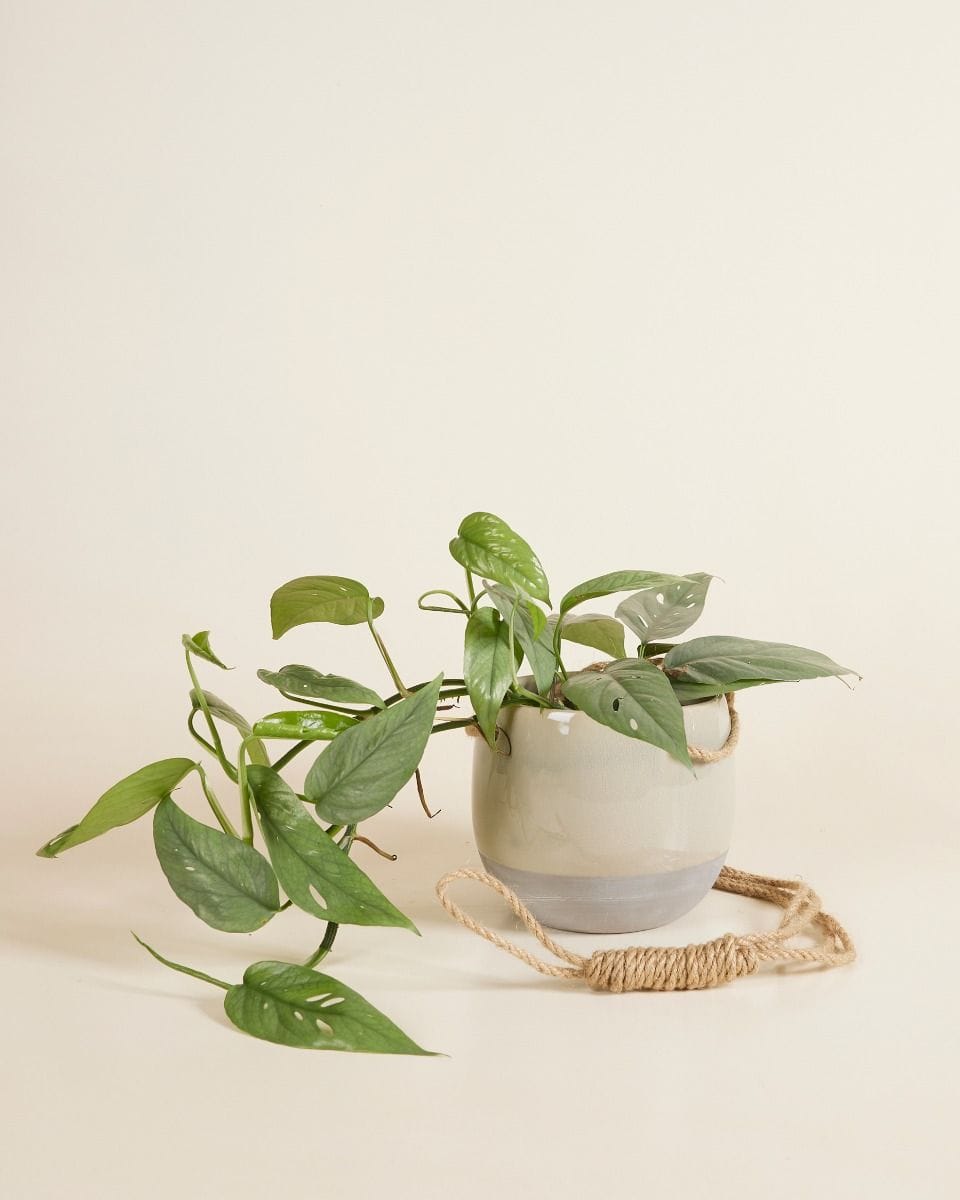 Nea Hanging Pot Blue Ø 13 cm