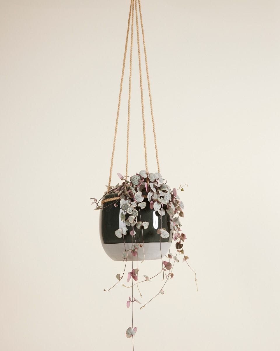 Nea Hanging Pot Grey Ø 13 cm