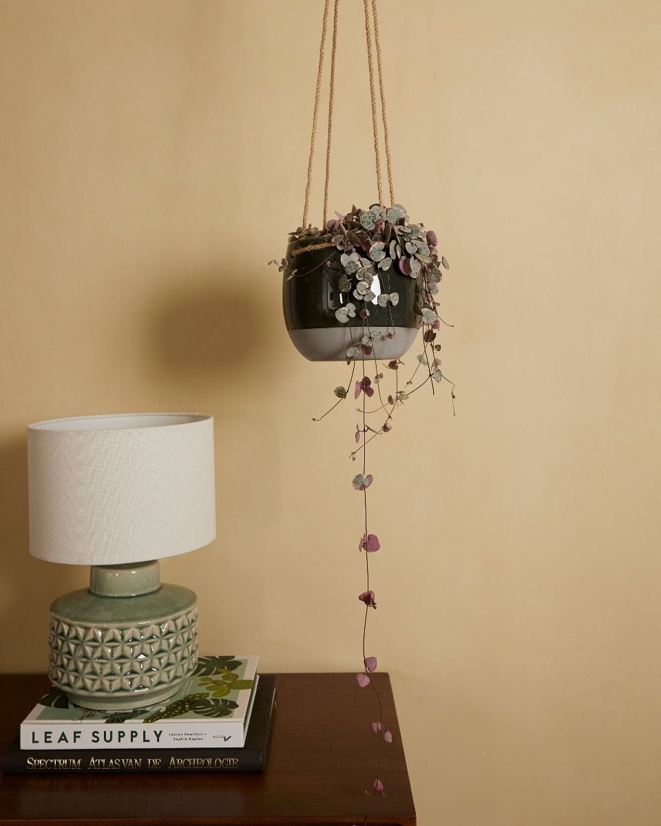 Nea Hanging Pot Grey Ø 13 cm
