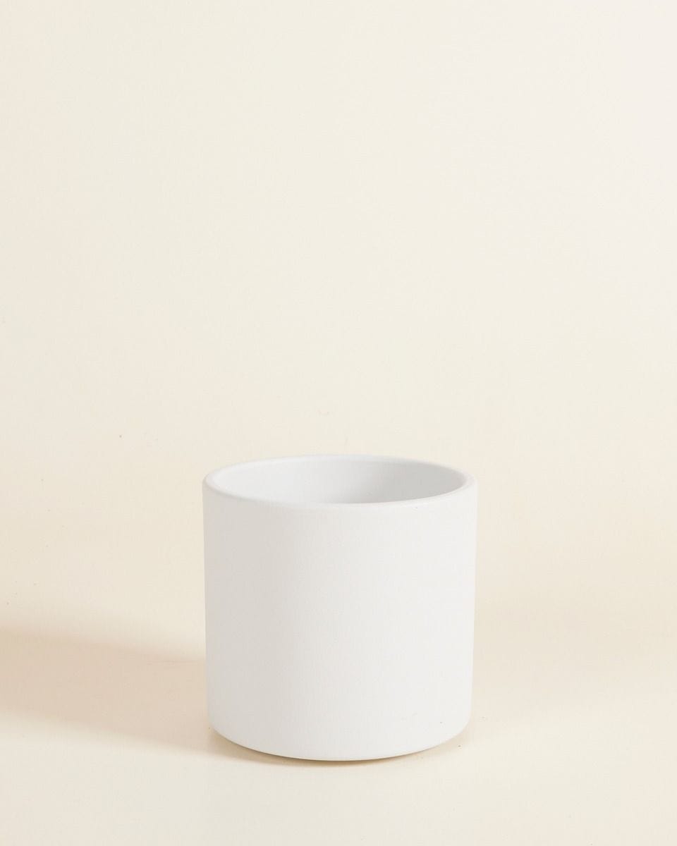 Penny Pot Light Grey Ø 12 cm