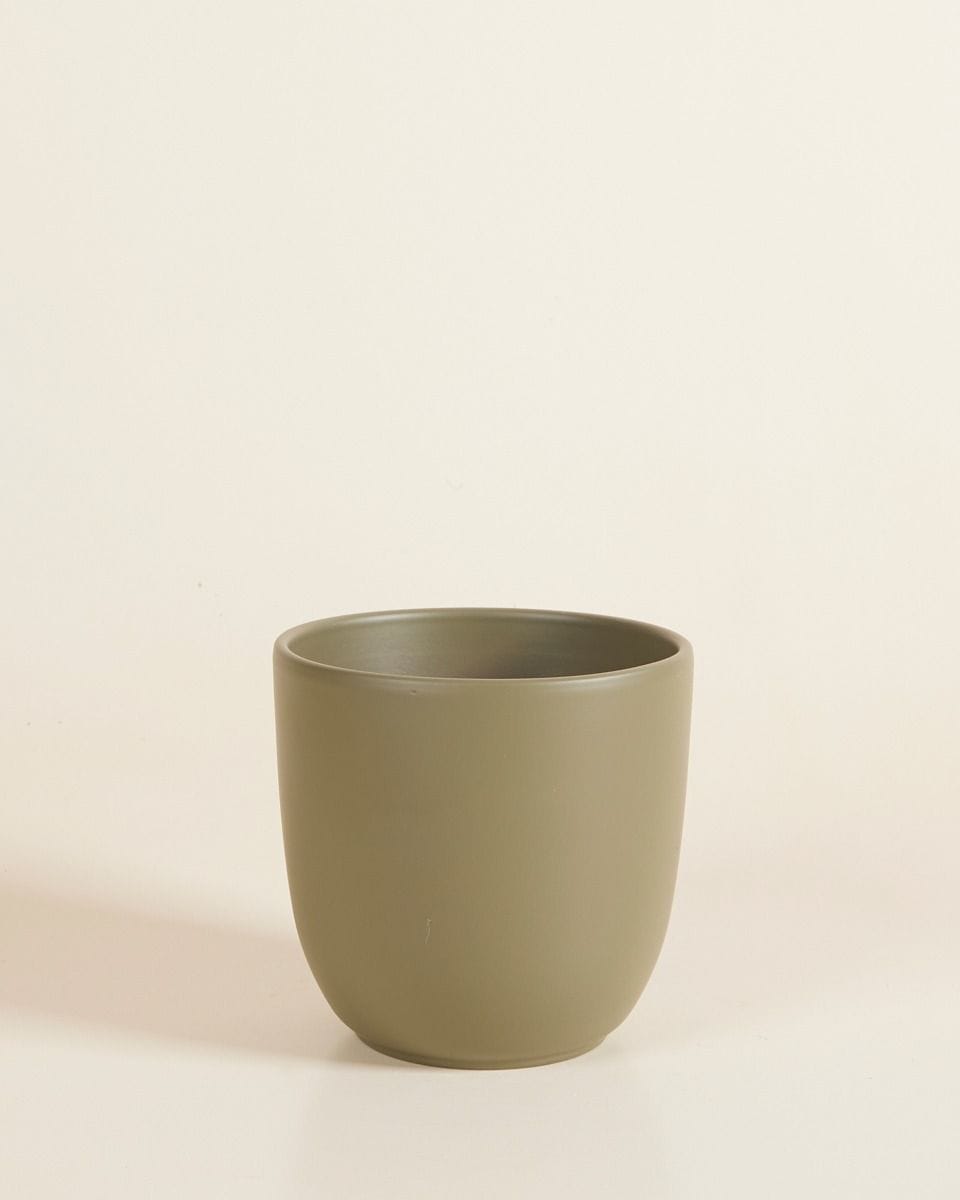 Lexi Pot Green Ø 12.5 cm