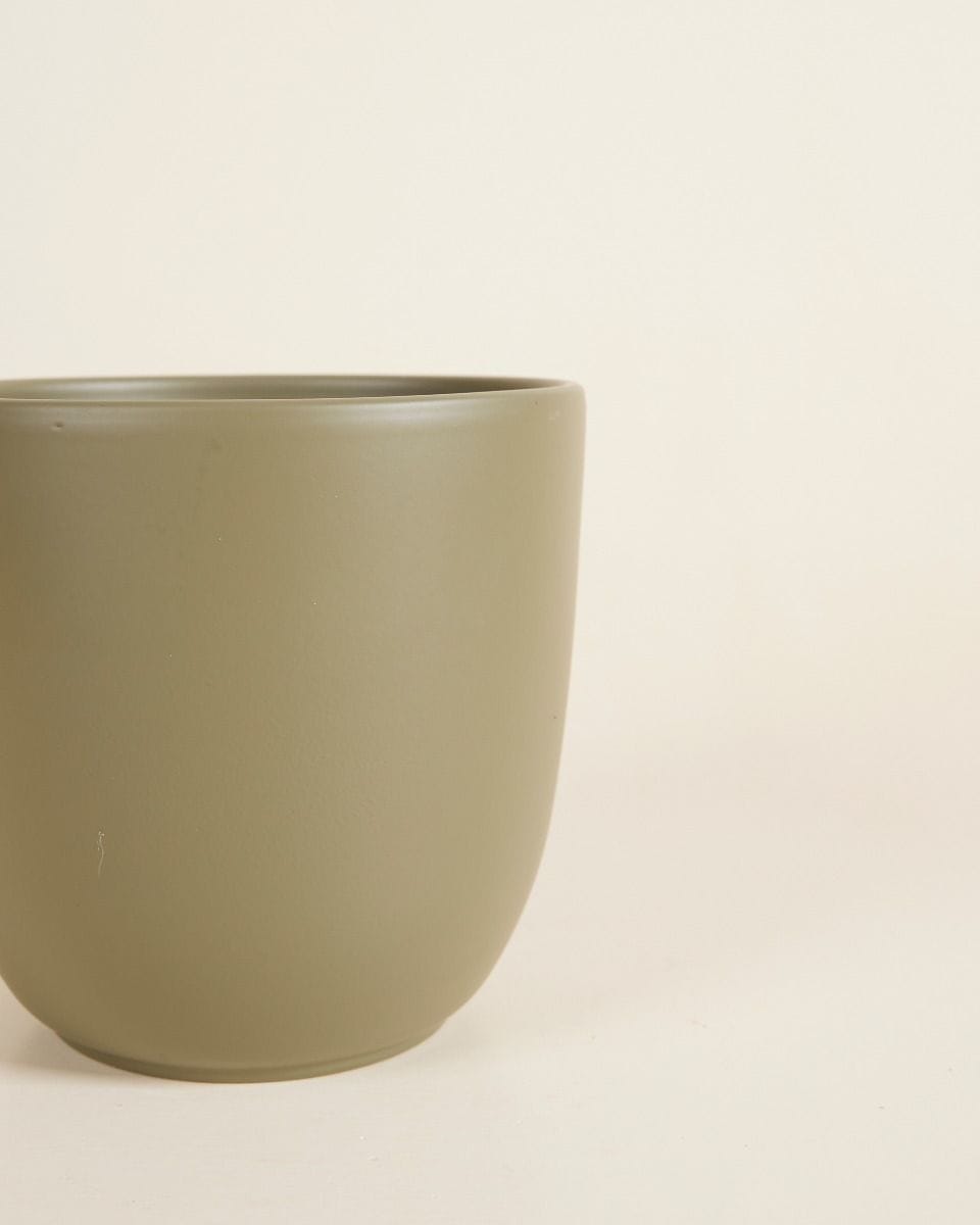 Lexi Pot Green Ø 12.5 cm
