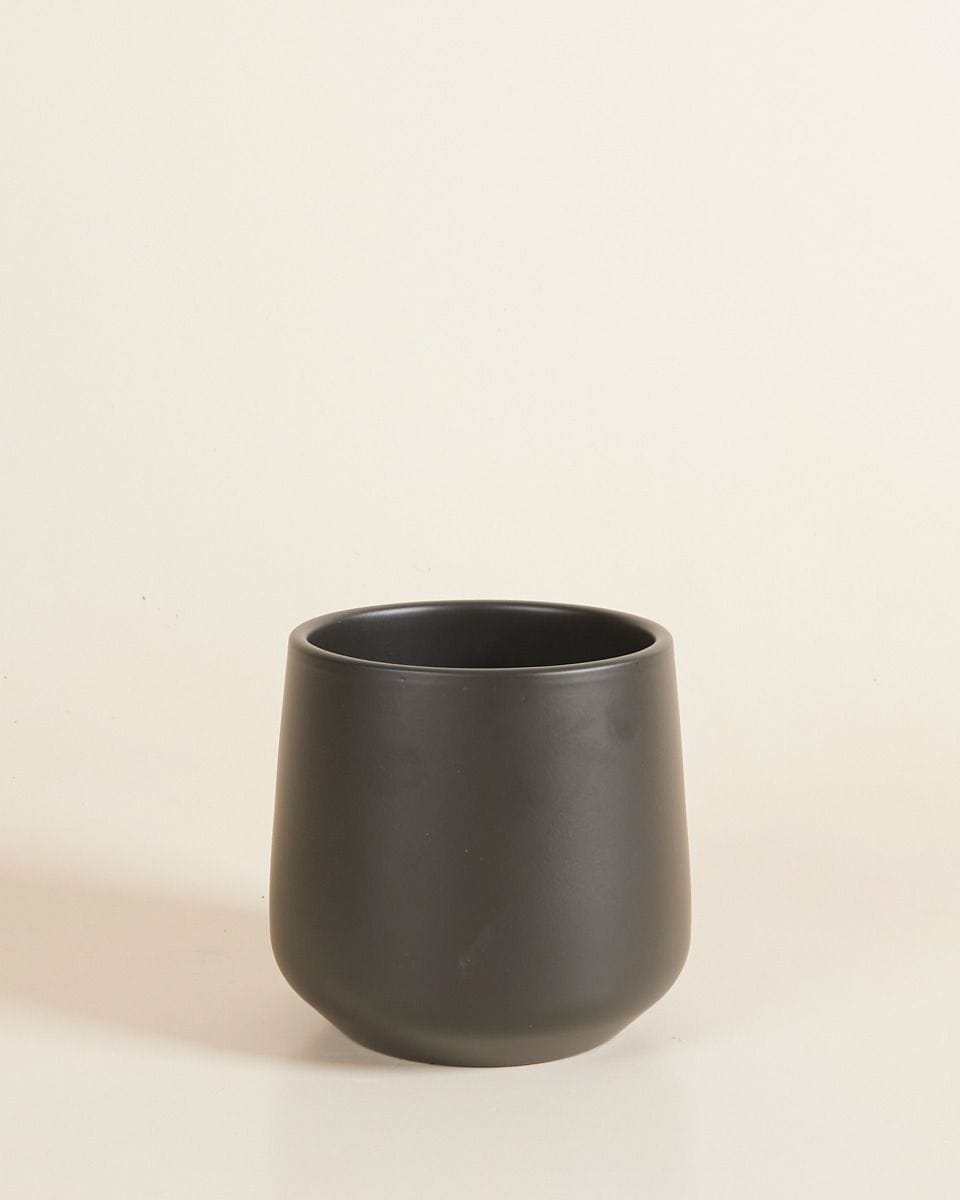 Amber Pot Noir Ø 12 cm