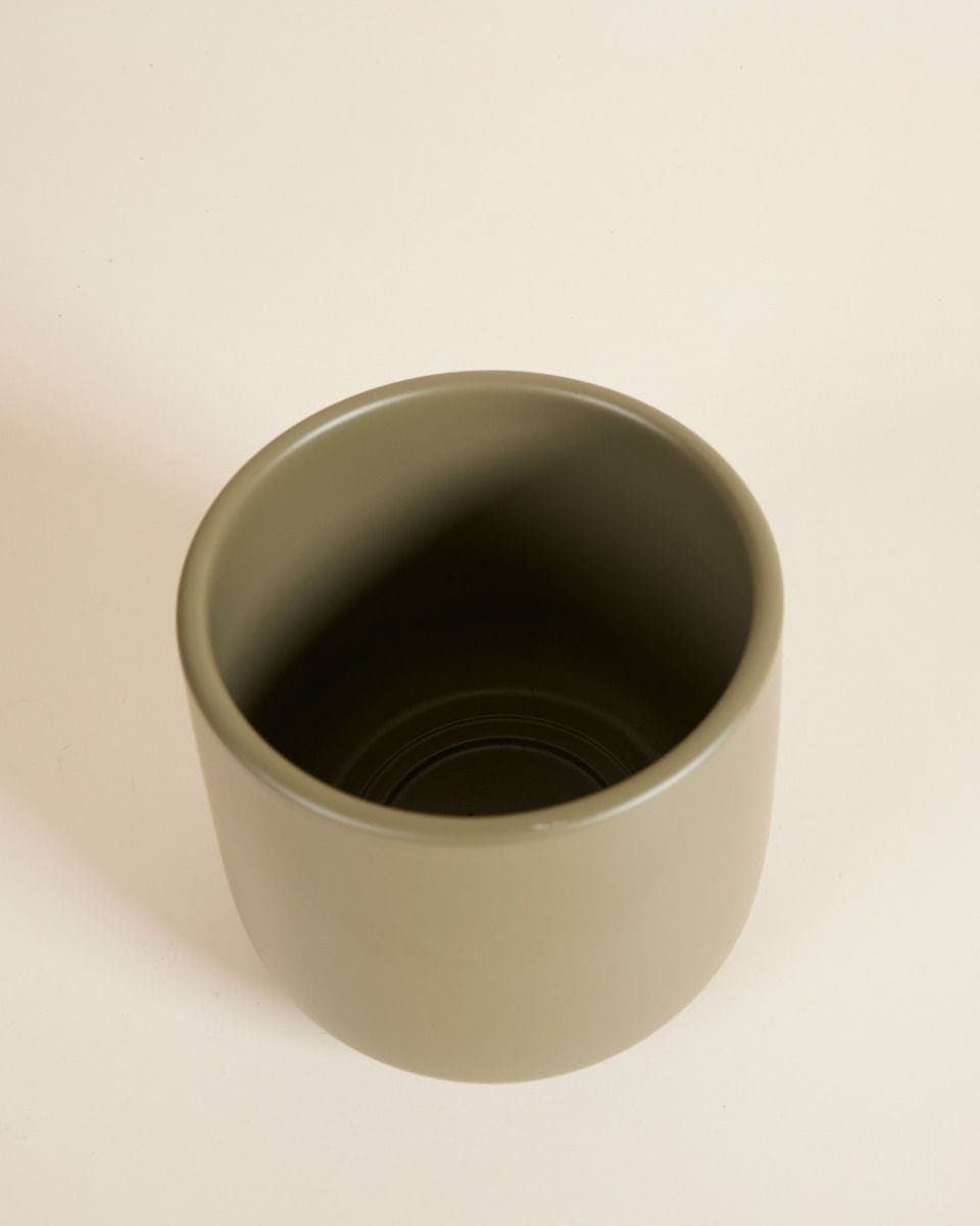 Amber Pot Green Ø 12 cm
