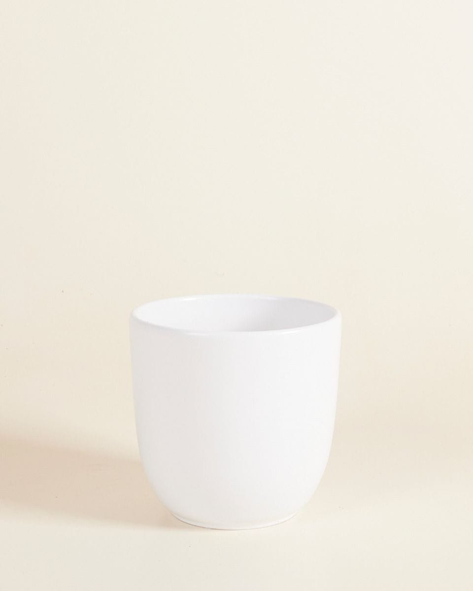 Lexi Topf Weiß Ø 12.5 cm