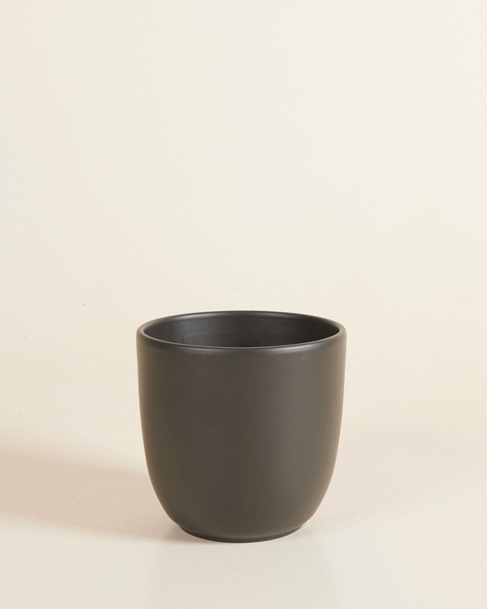 Lexi Pot Black Ø 12.5 cm
