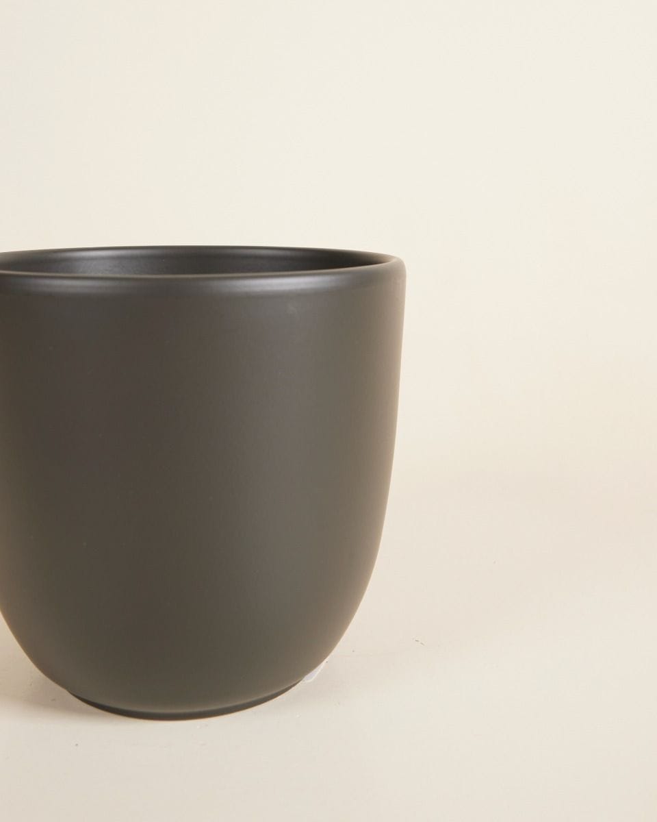 Lexi Pot Black Ø 12.5 cm