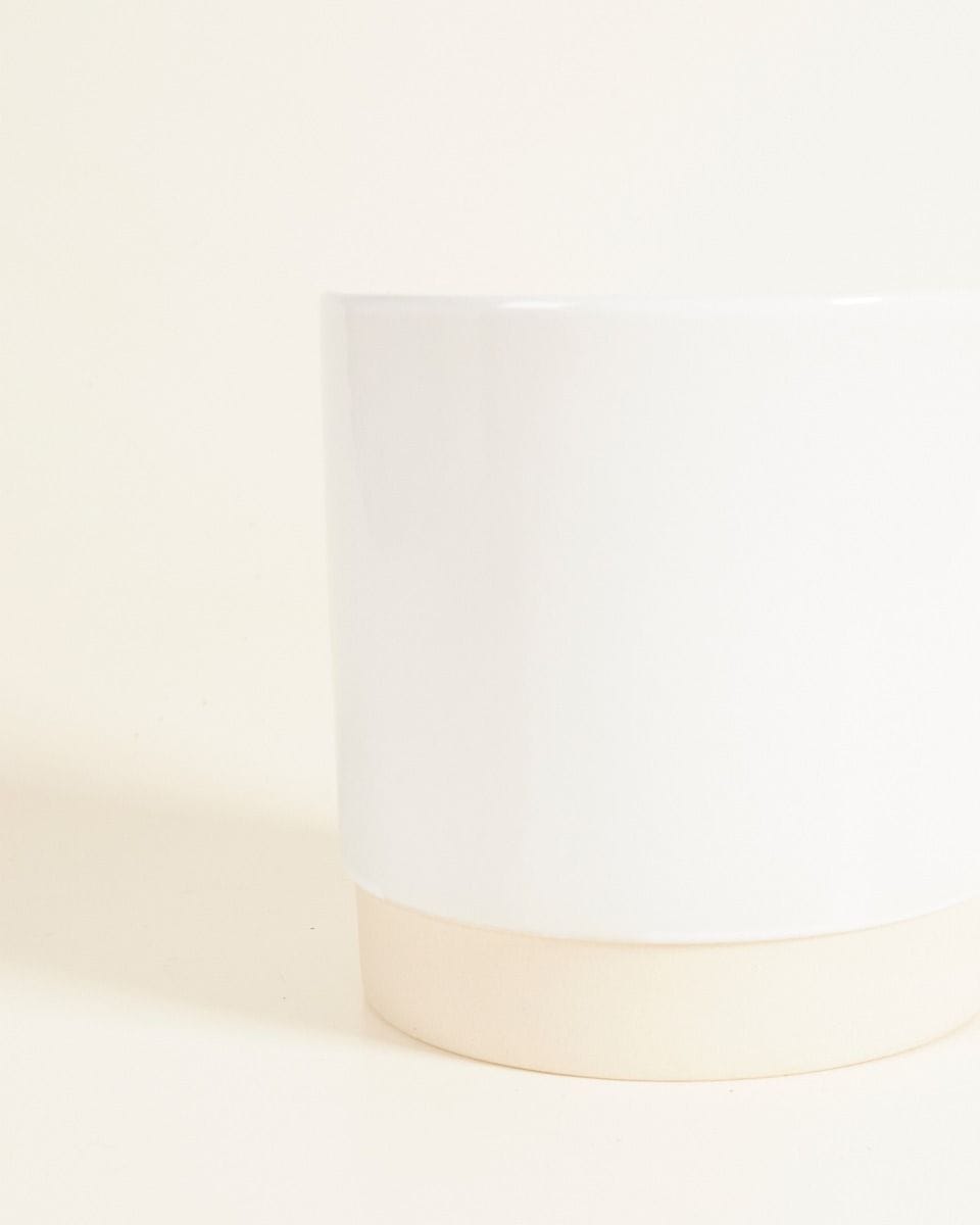 Lisa Pot White Ø 12 cm