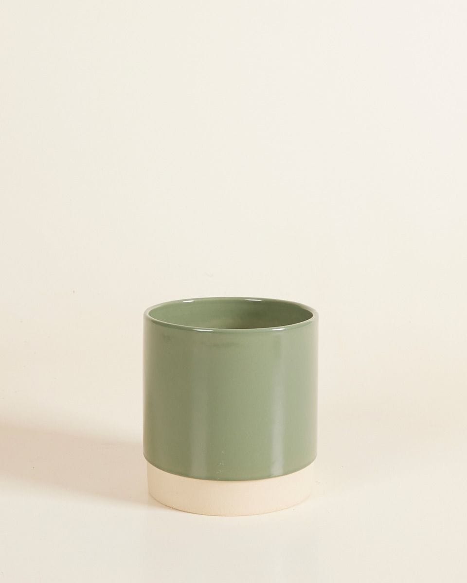 Lisa Pot Green Ø 12 cm