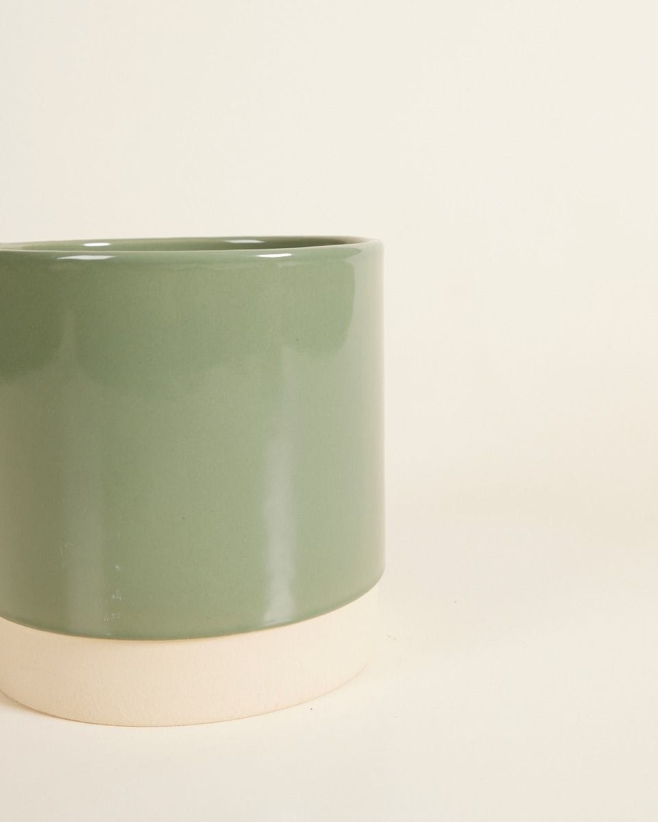 Lisa Pot Green Ø 12 cm